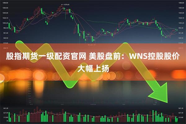 股指期货一级配资官网 美股盘前:WNS控股股价大幅上扬