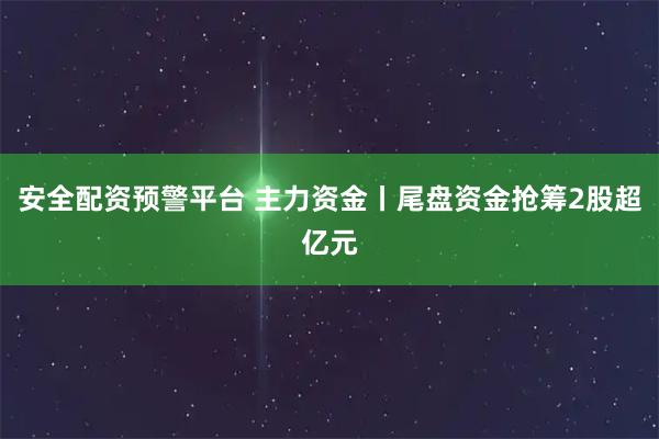 安全配资预警平台 主力资金丨尾盘资金抢筹2股超亿元